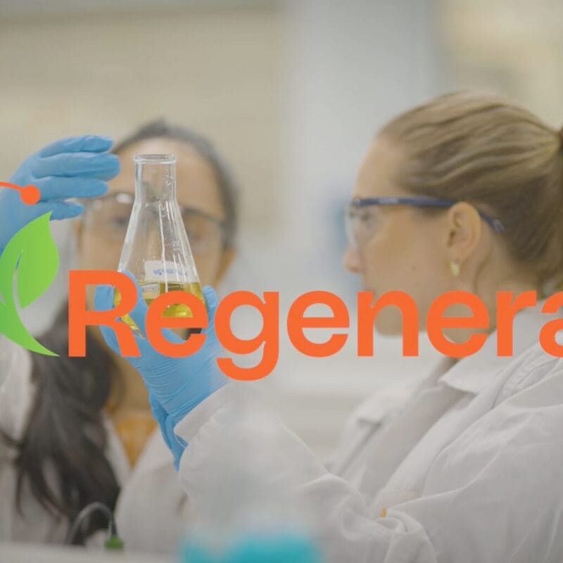 Webserie Regenera